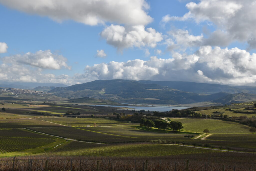 Paesaggio collinare