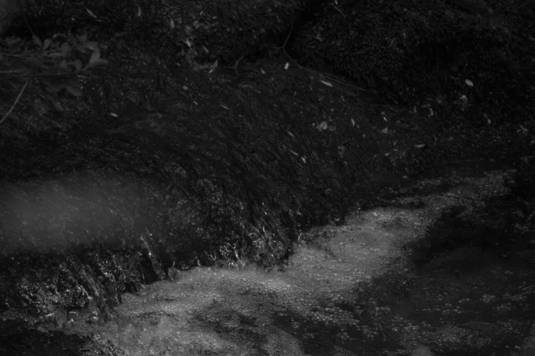 Dettagli d'acqua in bianco e nero