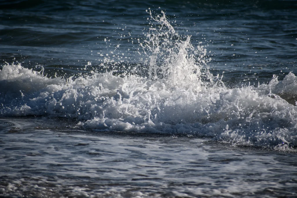DSC_2033.jpg