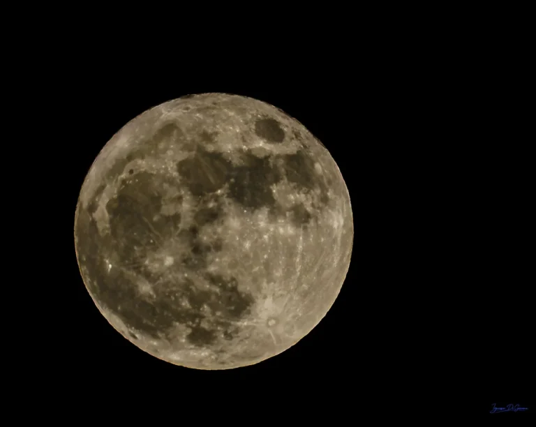 Dettagli della Luna Piena Notturna