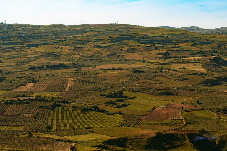 Campagna collinare con vento e coltivazioni